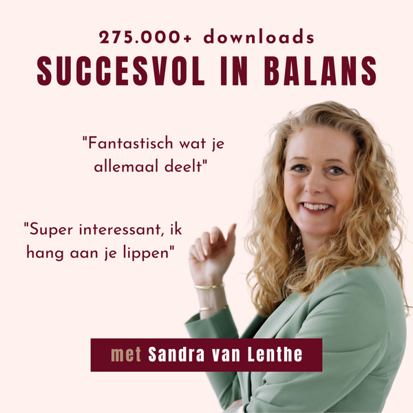 Artwork for Succesvol in Balans