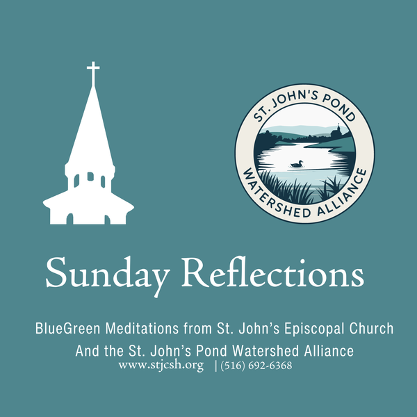 Artwork for Sunday Reflections: BlueGreen Meditations from St. John's, Cold Spring Harbor