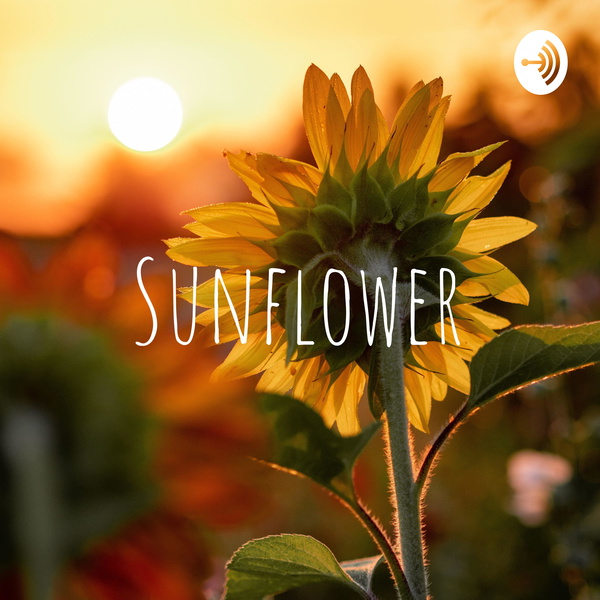 Artwork for Sunflower