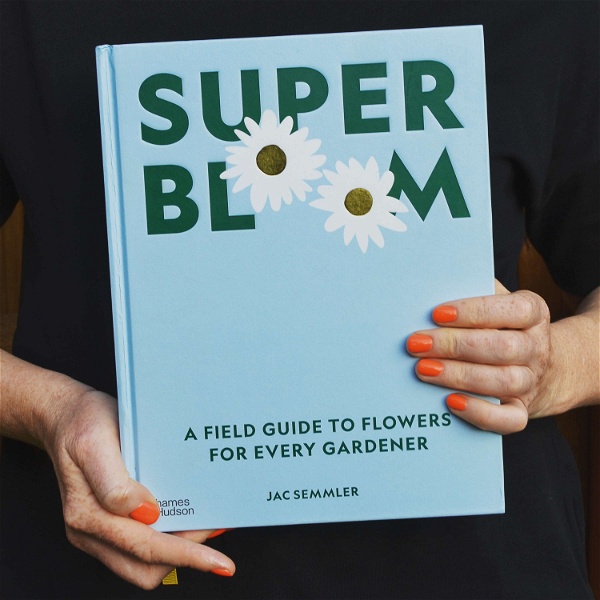 Artwork for Super Bloom: A field guide to flowers for every gardener