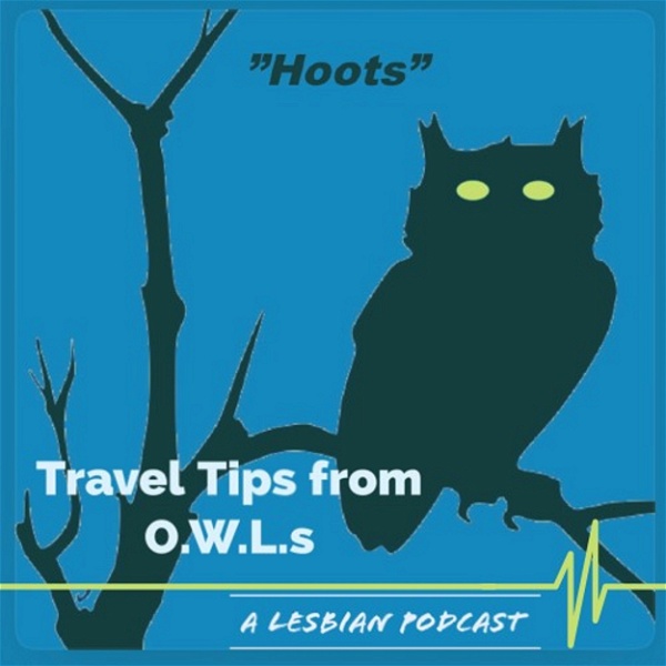 Artwork for ”Hoots” Stories from O.W.L.s (Old