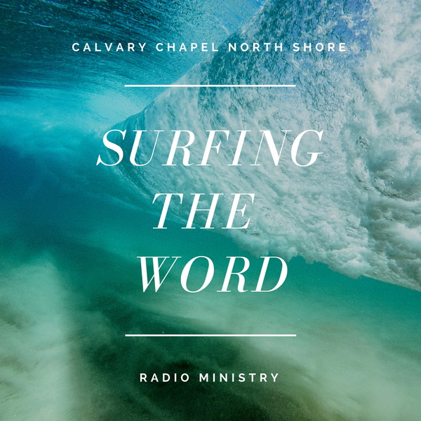 Artwork for Surfing the Word