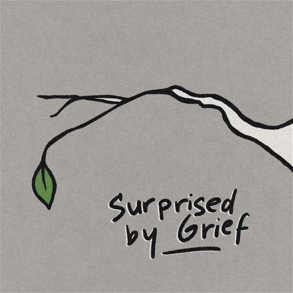 Artwork for Surprised by Grief