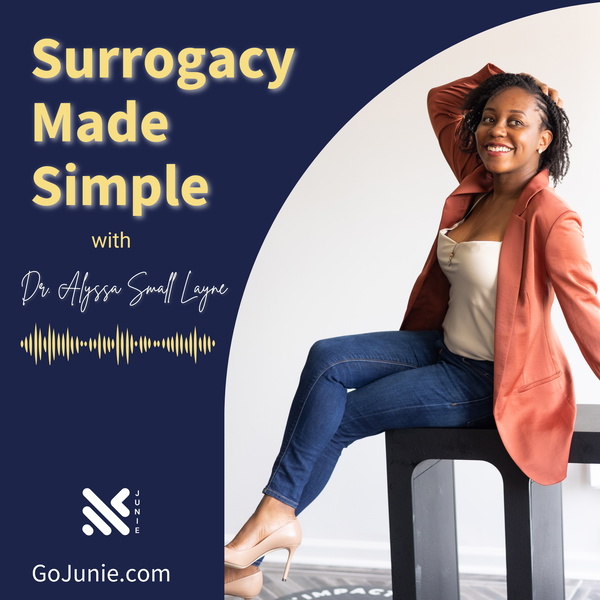 Artwork for Surrogacy Made Simple