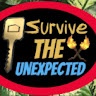 Artwork for Survive The Unexpected