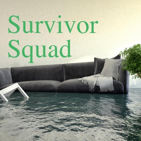 Artwork for Survivor Squad