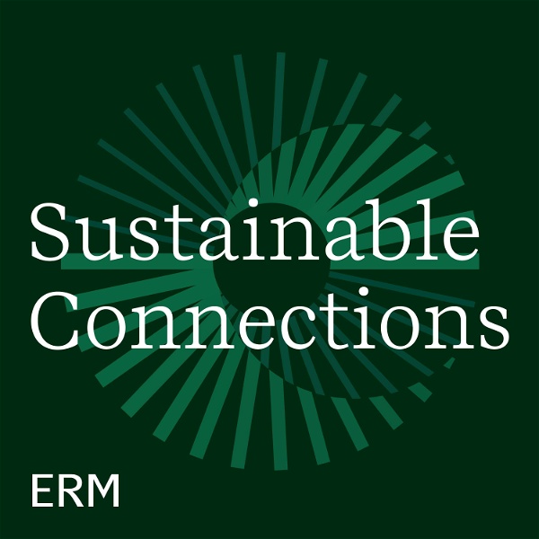 Artwork for Sustainable connections