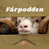 Fårpodden
