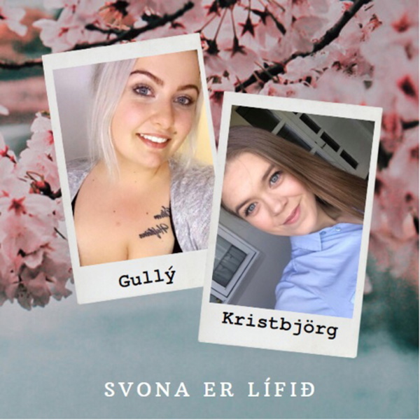 Artwork for Svona er lífið