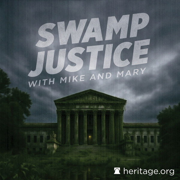 Artwork for Swamp Justice