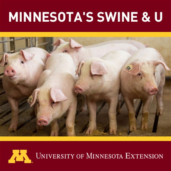 Artwork for Minnesota's Swine & U