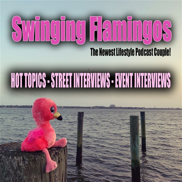 Artwork for Swinging Flamingos