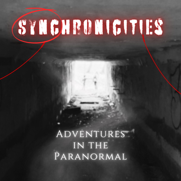 Artwork for Synchronicities