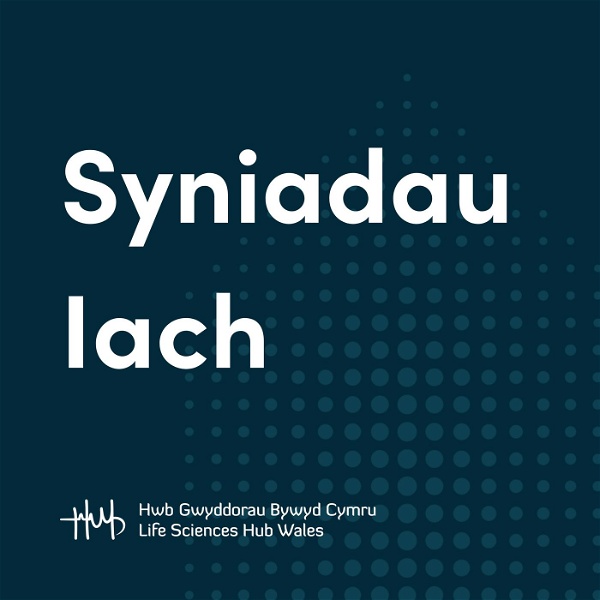 Artwork for Syniadau Iach