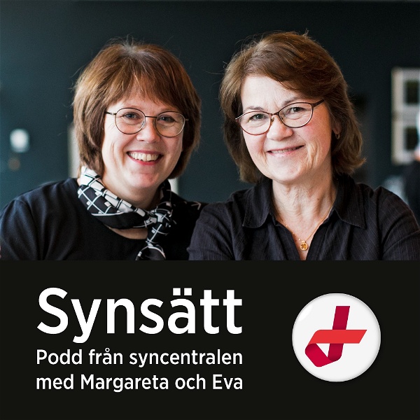 Artwork for Synsätt