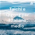 Taichi e Qigong per l'italiano medio