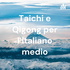 Taichi e Qigong per l'italiano medio