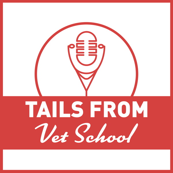Artwork for Tails From Vet School