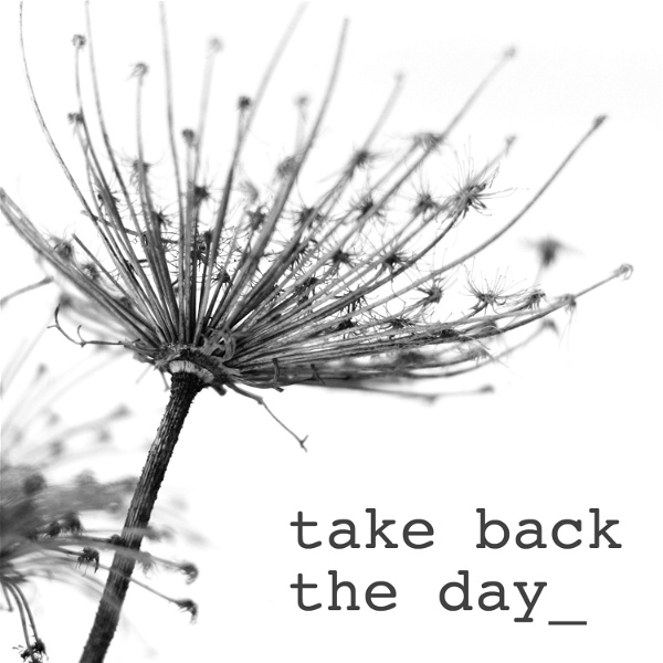 Artwork for Take Back the Day