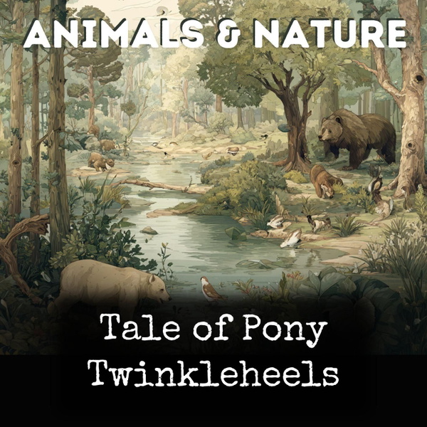 Artwork for Tale of Pony Twinkleheels