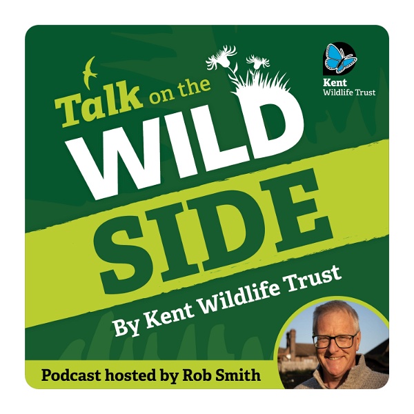 Artwork for Talk on the Wild Side