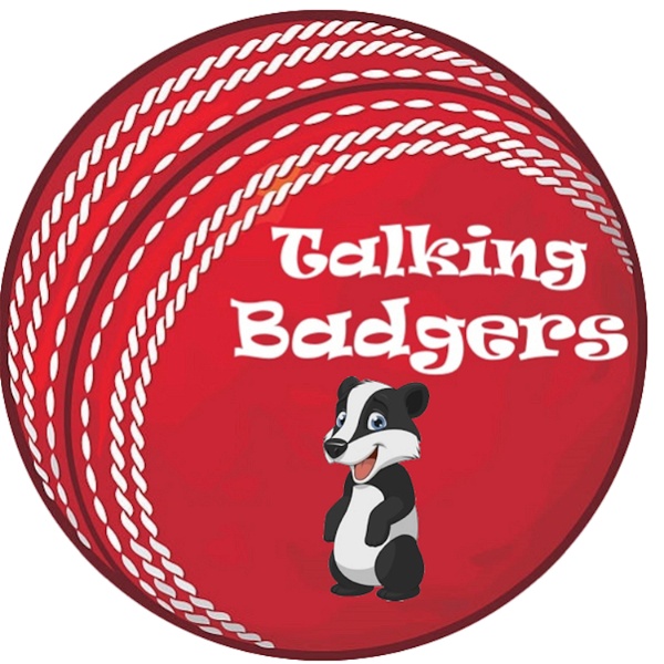 Artwork for Talking Badgers