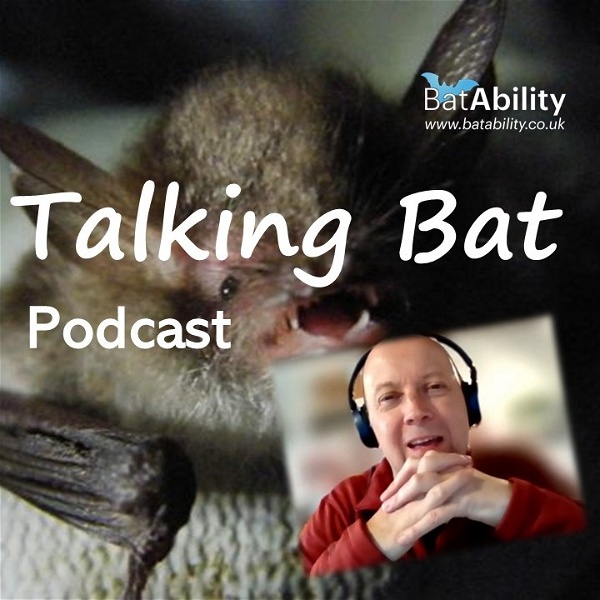 Artwork for Talking Bat