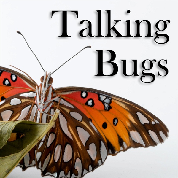 Artwork for Talking Bugs