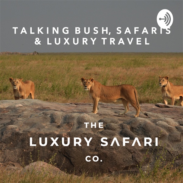 Artwork for Talking Bush, Safaris & Luxury Travel