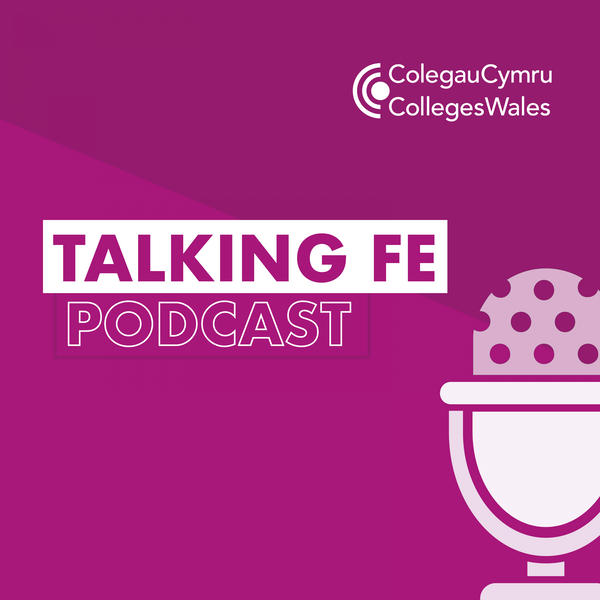 Artwork for Talking FE