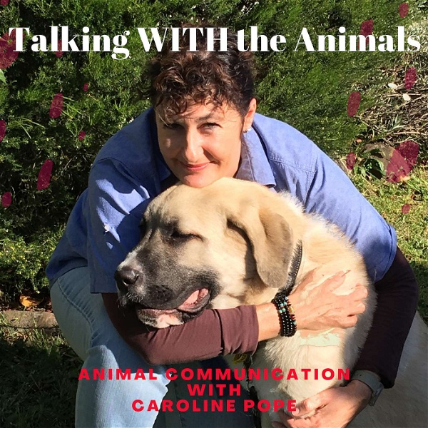 Artwork for Talking WITH the Animals.    Animal Communication