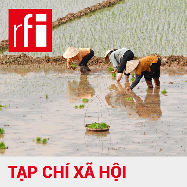 Artwork for Tạp chí xã hội