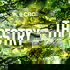 Tapestry from CBC Radio