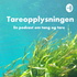 Tareopplysningen