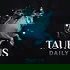 Taurus Daily
