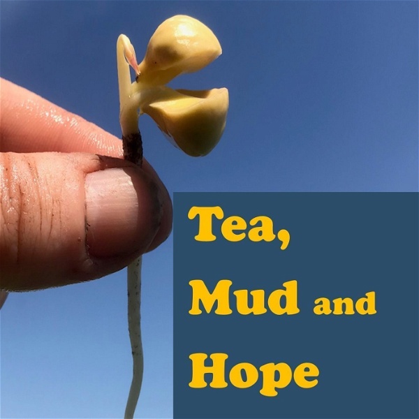 Artwork for Tea, Mud and Hope