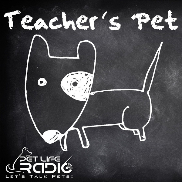 Artwork for Teacher's Pet Podcast