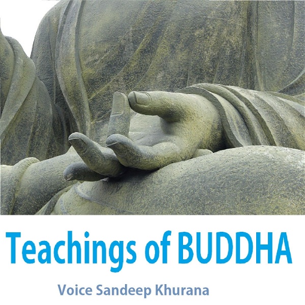 Artwork for Teachings of Buddha