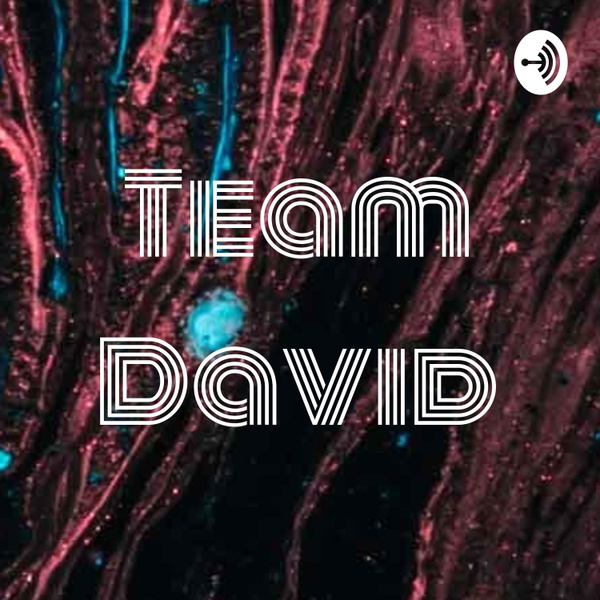 Artwork for Team David