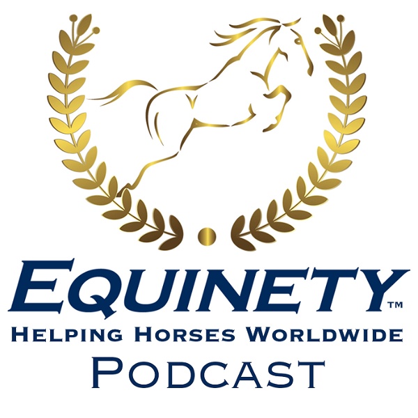 Artwork for Team Equinety Podcast