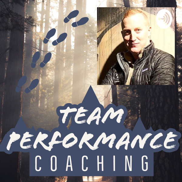 Artwork for Team Performance Coaching