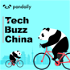 Tech Buzz China 英文科技评论