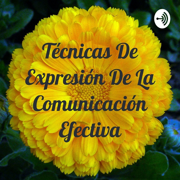 Artwork for Técnicas De Expresión De La Comunicación Efectiva