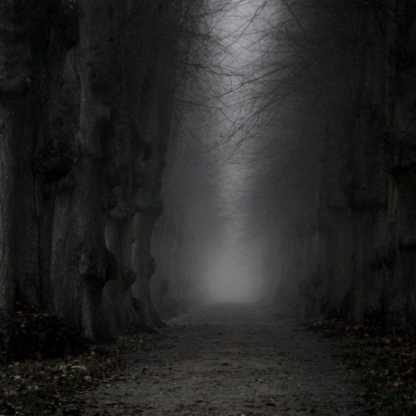 Artwork for Ted Bundy: At The Hands of a Killer