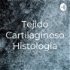 Tejido Cartilaginoso Histologia