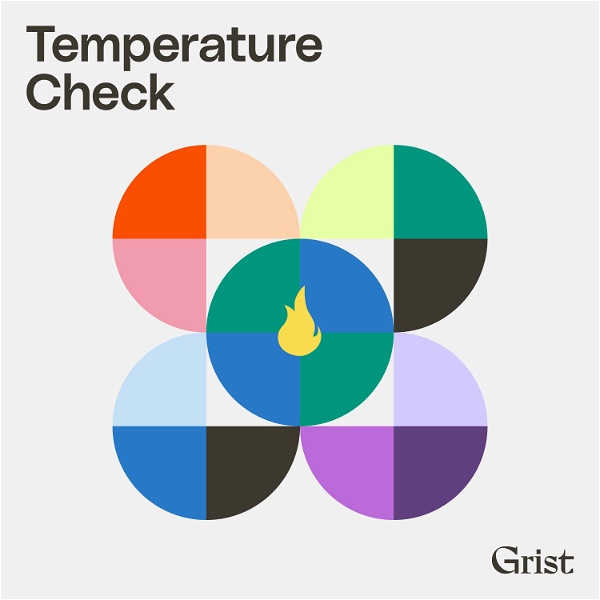 Artwork for Temperature Check