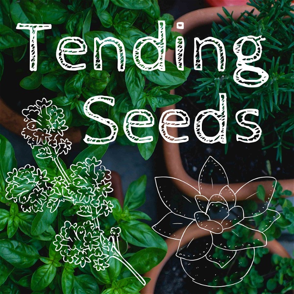 Artwork for Tending Seeds: Adventures in Gardening, Homesteading, and Herbalism