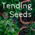 Tending Seeds: Adventures in Gardening, Homesteading, and Herbalism