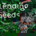 Tending Seeds: Adventures in Gardening, Homesteading, and Herbalism