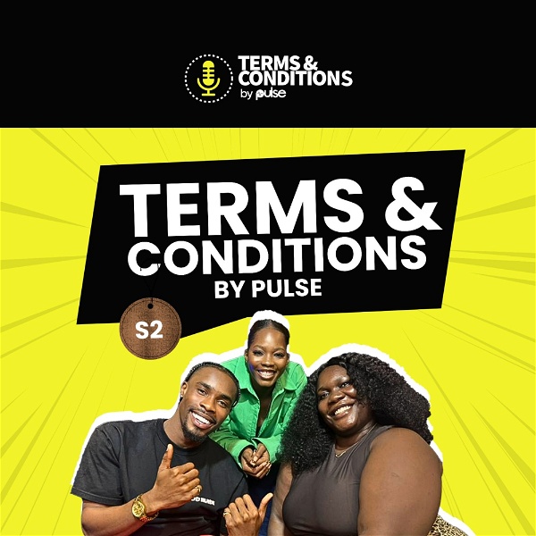 Artwork for Terms and Conditions by Pulse